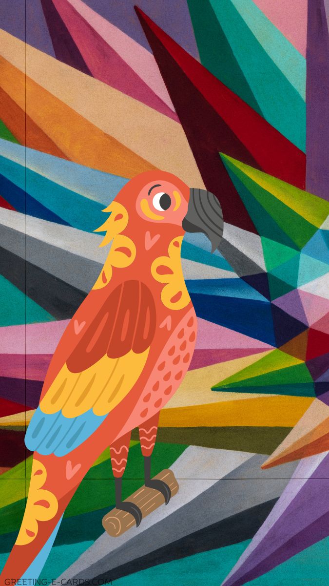 Colorful Parrot Phone Wallpaper