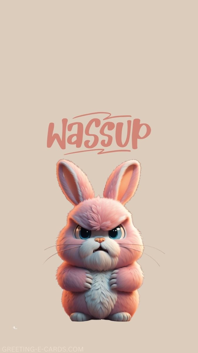 Wassup Grumpy Bunny Phone Wallpaper