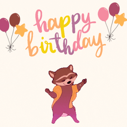 Funny Dancing Raccoon Birthday GIF - Free Animated GIF no sign up