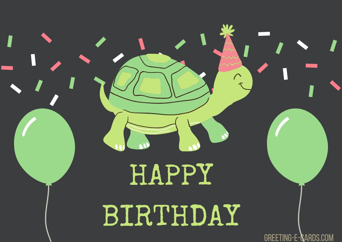 A Happy Turtle Birthday