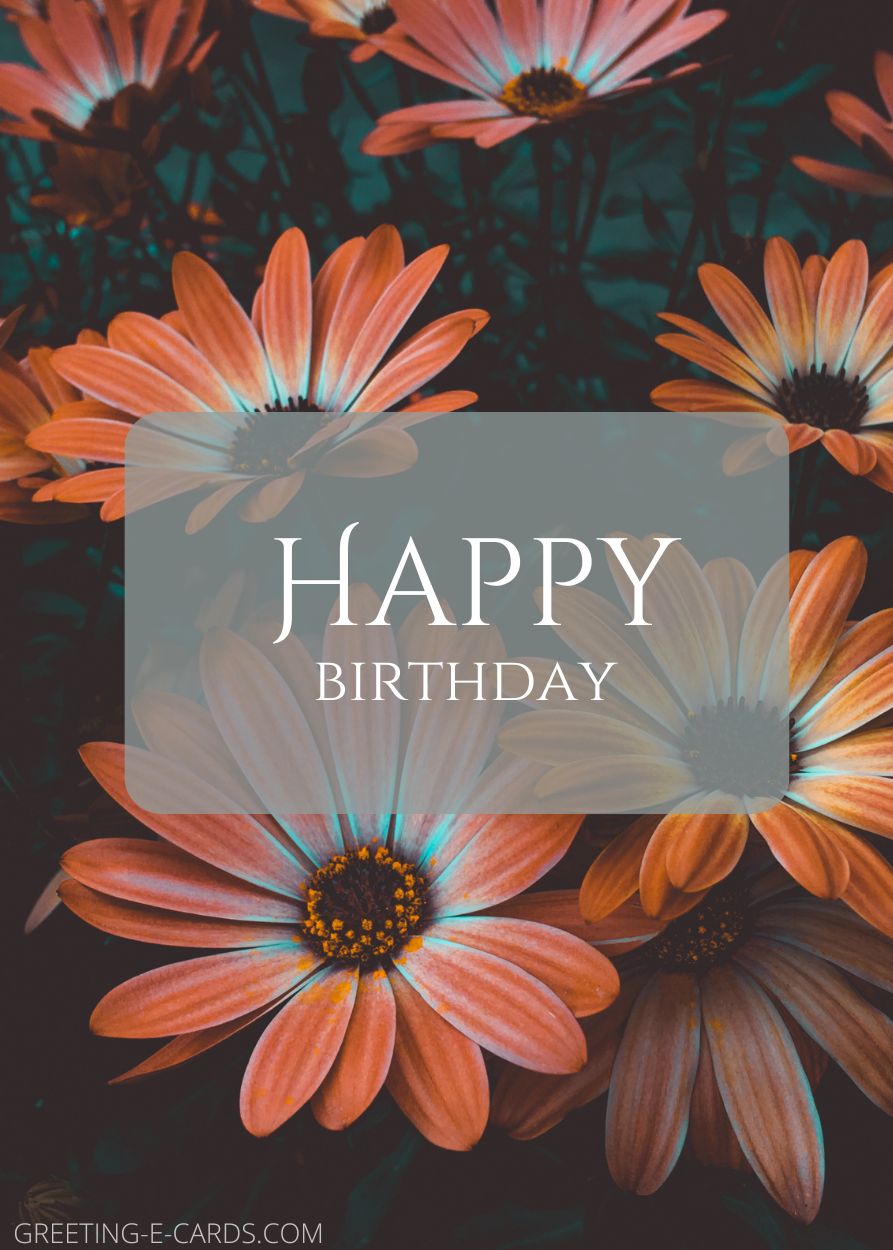 Birthday Bloom Wishes