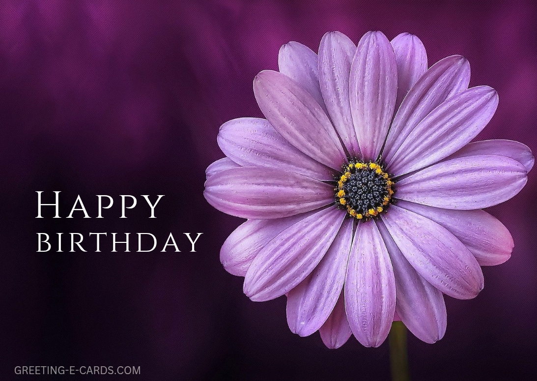Blooming Birthday Wishes