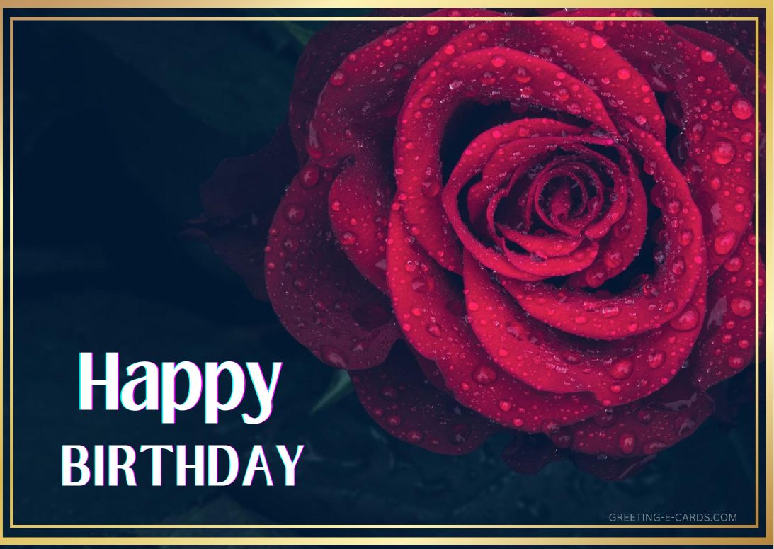 Dewdrop Rose Birthday E-Card