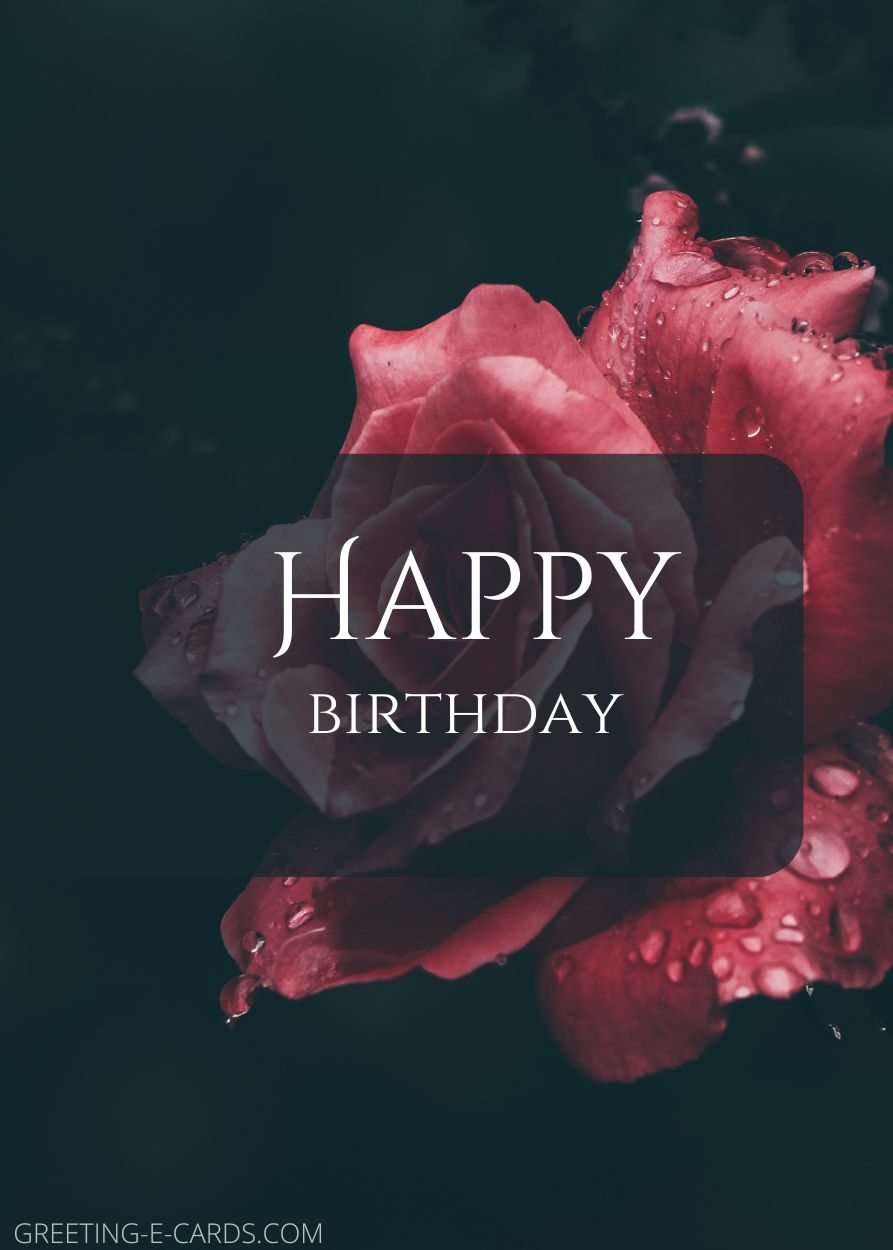 Elegant Birthday Rose
