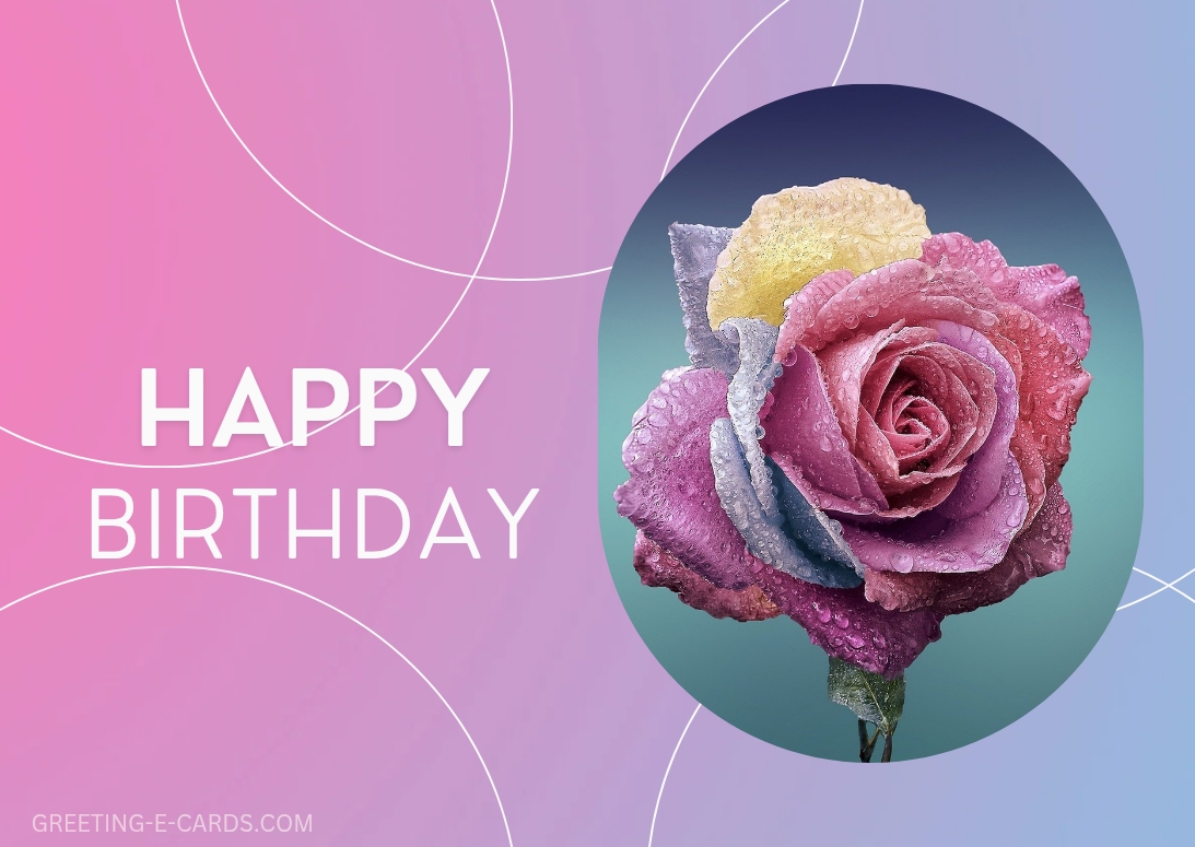 Vibrant Rose Birthday