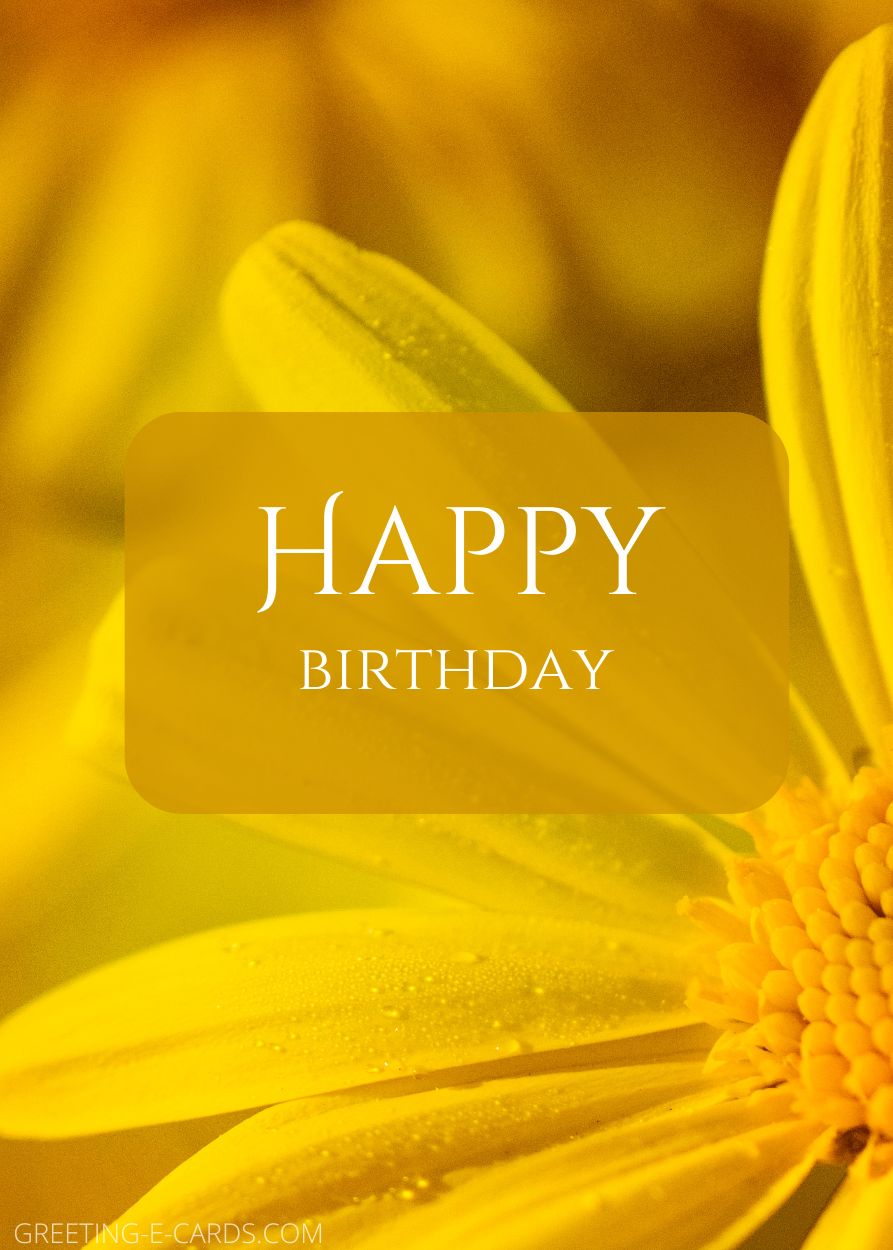 Warm Birthday Wishes