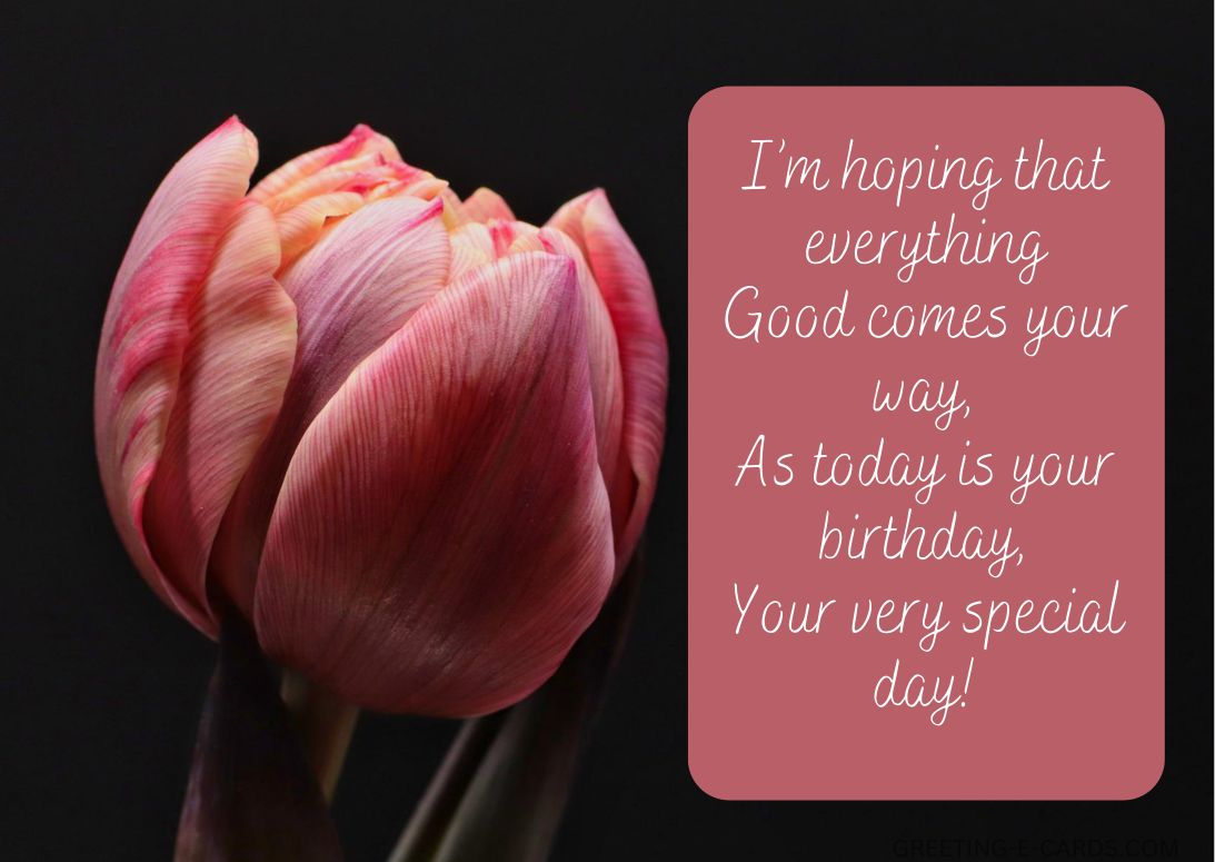 Birthday Tulip Wishes E-Card