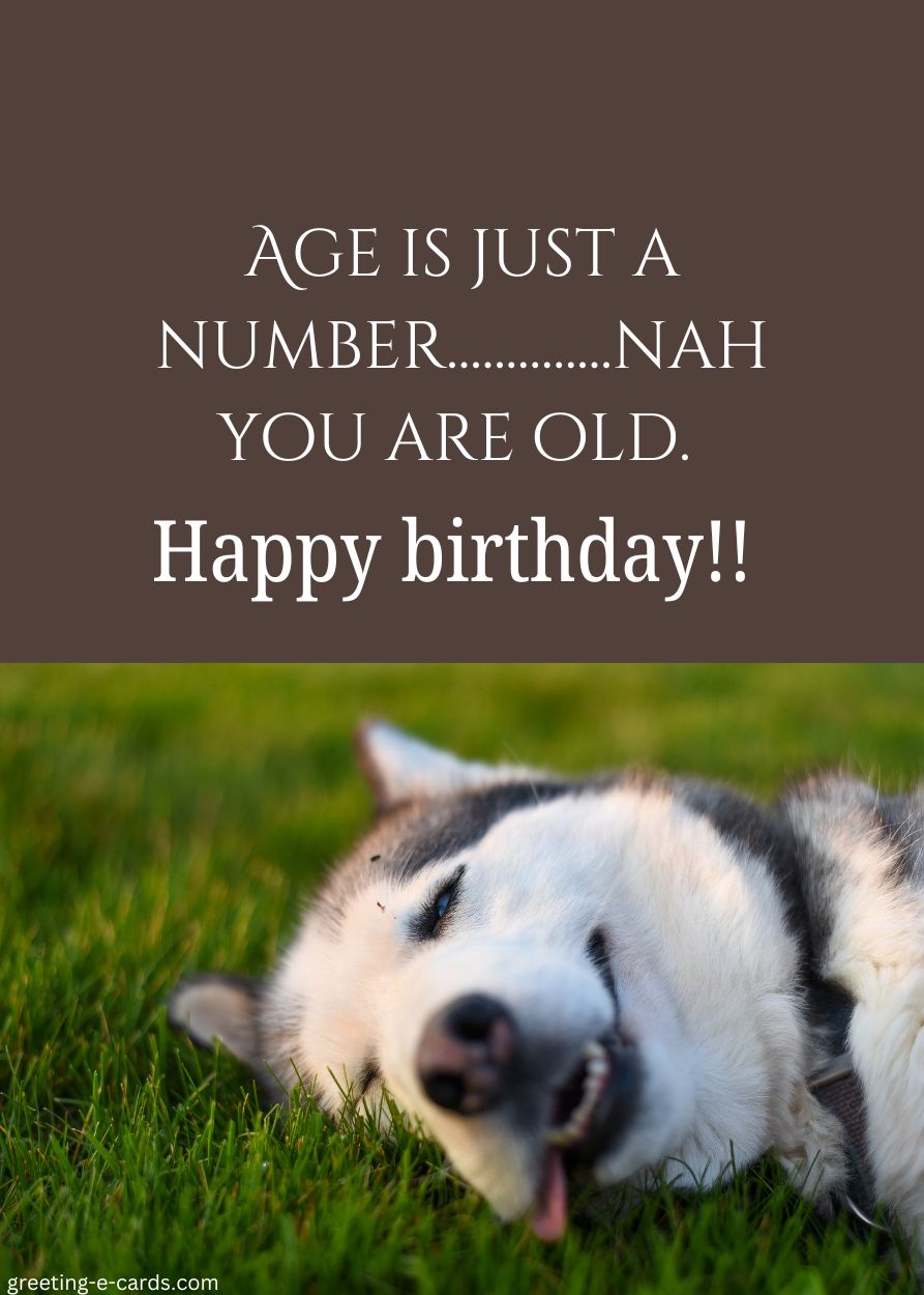Birthday Humor & Husky Charm