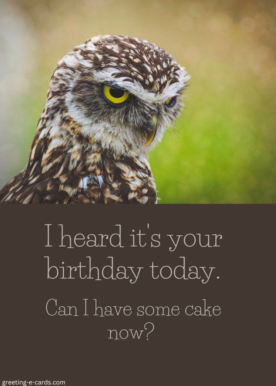 Can I Have Some Cake Now?