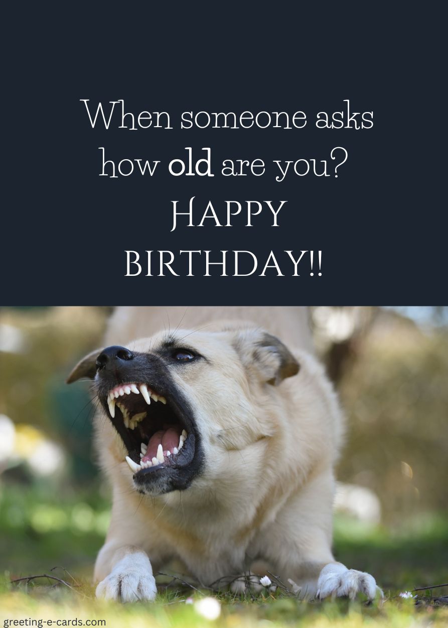 Happy (Don\'t Ask!) Birthday