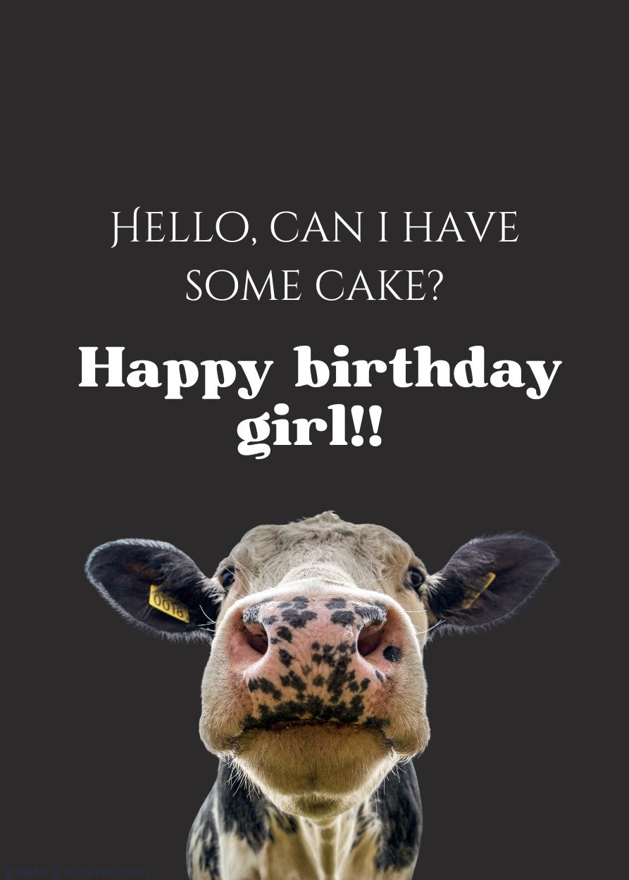 Hello, Can I Have Some Cake?