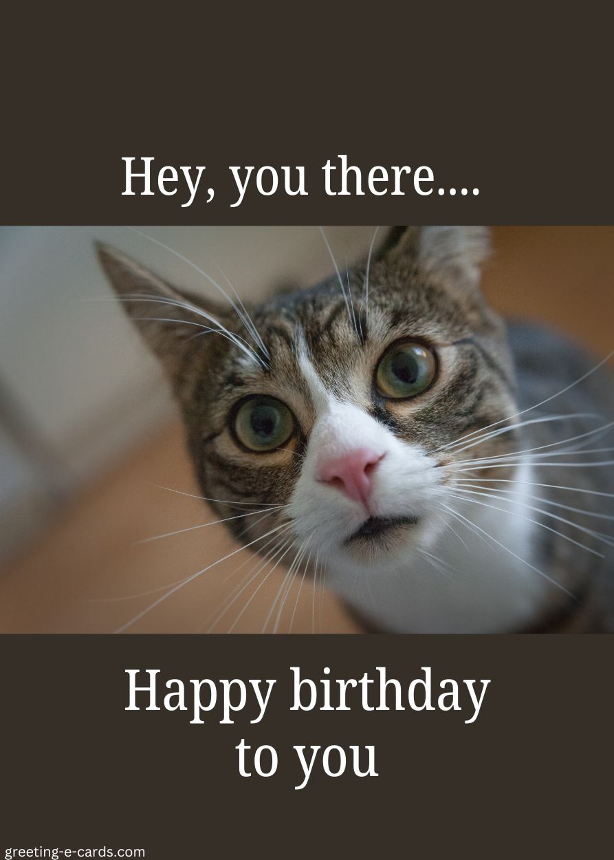 Hey, You There... Happy Birthday!