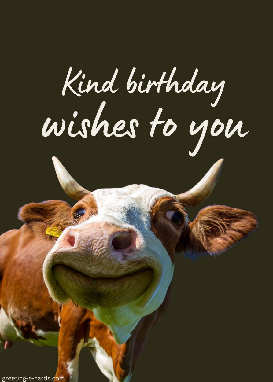 Moo-vellous Birthday Wishes
