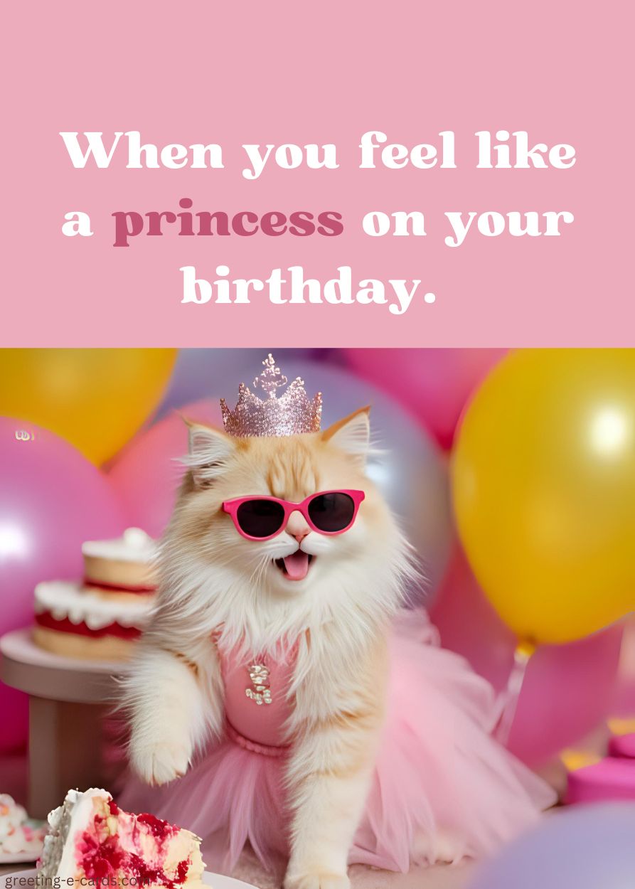 Your Birthday Princess