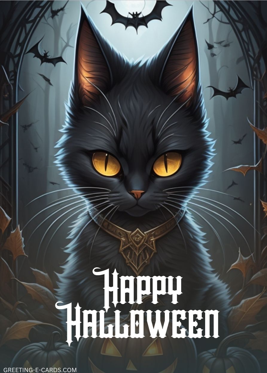 Happy Halloween from a Spooky Cat
