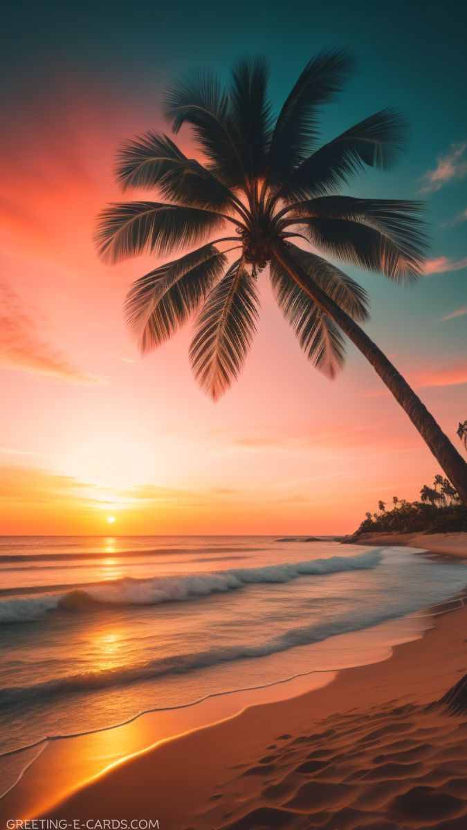 Sunset Palm Beach Phone Wallpaper