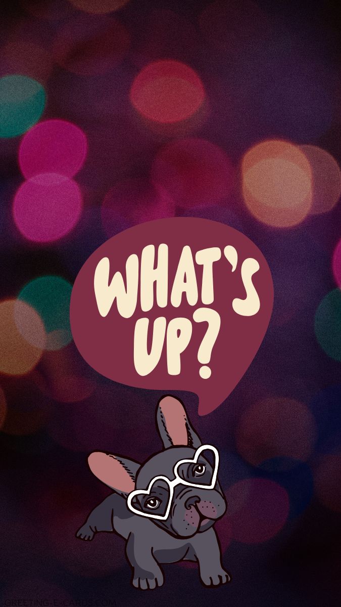 Cool Pup Phone Wallpaper