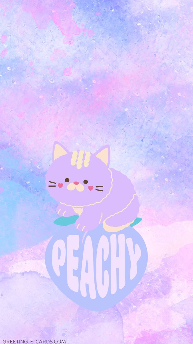 Peachy Pastel Cat Phone Wallpaper