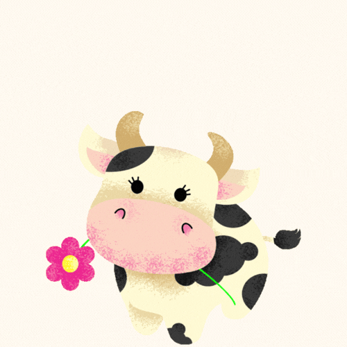 Cute Cow Birthday GIF with Flower
