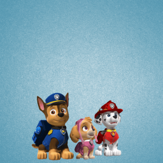 Paw Patrol Birthday Gif-Card
