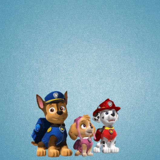 Paw Patrol Birthday Gif-Card - Free Animated GIF no sign up