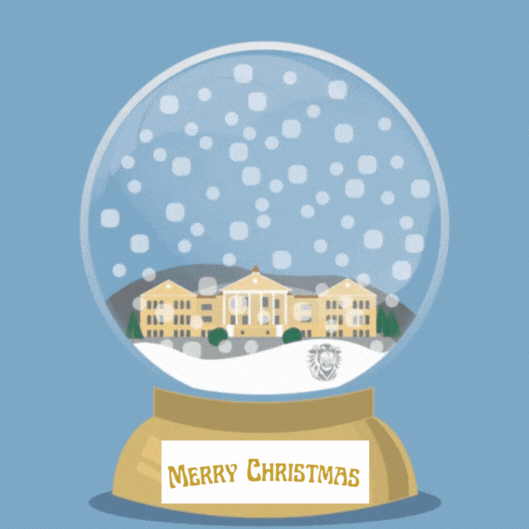 Snow Globe Christmas gif-Card