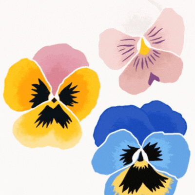 Blooming Hello spring