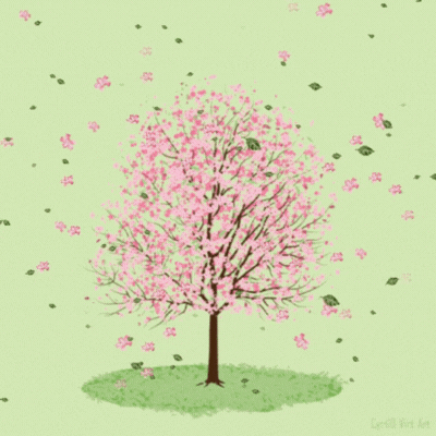 Blooming Spring Tree GIF