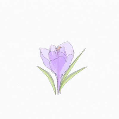 Hello Spring gif-Card