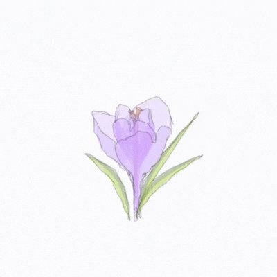 Hello Spring gif-Card - Free Animated GIF no sign up