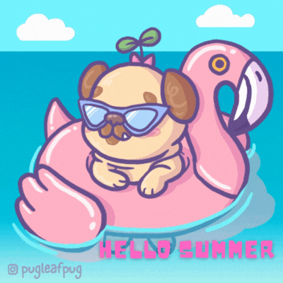 Pug in Flamingo Float Gif Card