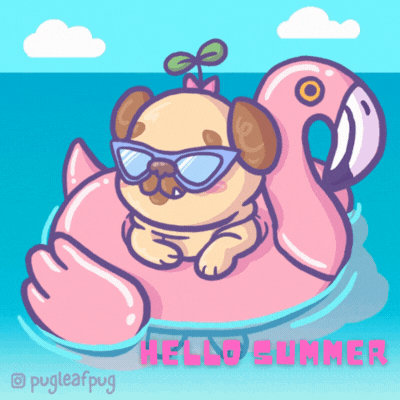 Pug in Flamingo Float Gif Card