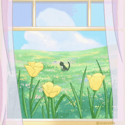 Spring has Sprung!