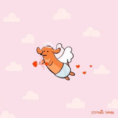 Cupid Dachshund Valentines Day GIF