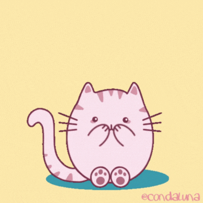 Shy Cat Valentine\'s Day GIF